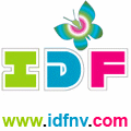 IDFNV