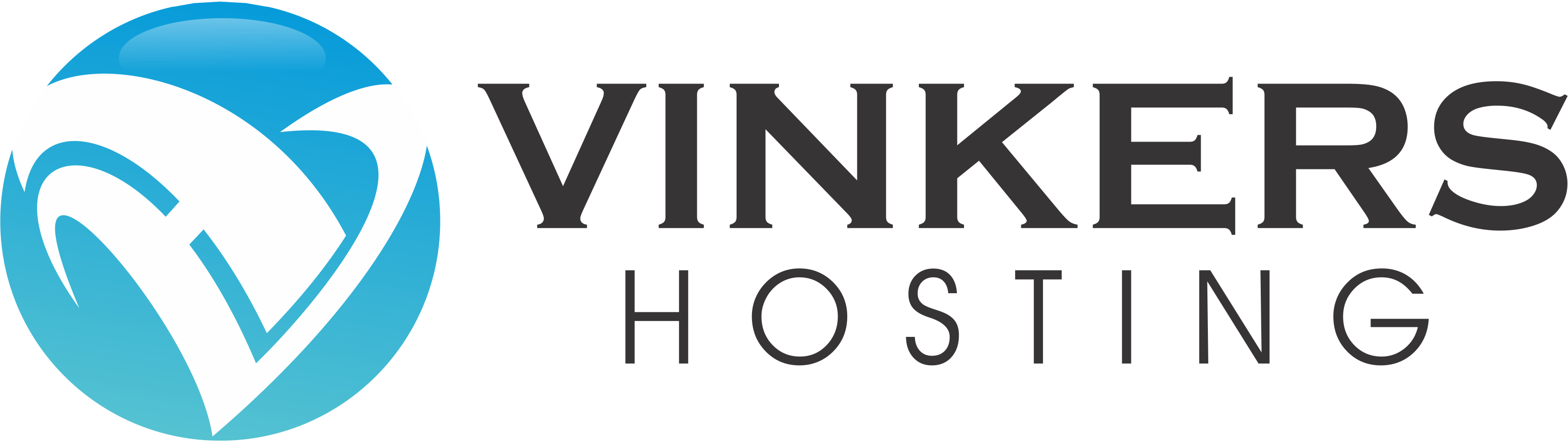 Vinkers Hosting